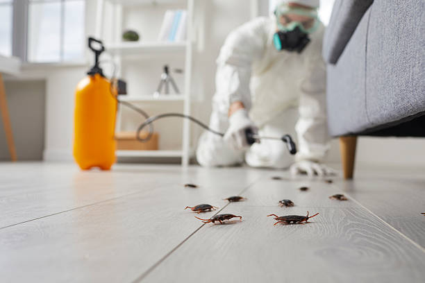 Commercial Kitchen Cockroach Control in Ladd